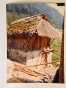 Hof (Positivo) di Ziegler, Kosmas (1976/05/07 - 1976/05/07)