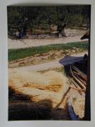 Hof (Positivo) di Ziegler, Kosmas (1976/05/07 - 1976/05/07)