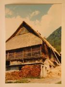 Beruf (Positivo) di Ziegler, Kosmas (1976/05/07 - 1976/05/07)