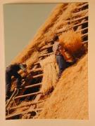 Beruf (Positivo) di Ziegler, Kosmas (1976/05/07 - 1976/05/07)