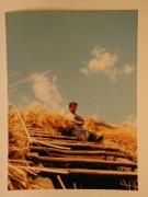 Beruf (Positivo) di Ziegler, Kosmas (1976/05/07 - 1976/05/07)