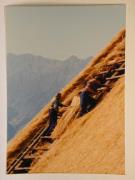 Beruf (Positivo) di Ziegler, Kosmas (1976/05/07 - 1976/05/07)