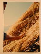 Beruf (Positivo) di Ziegler, Kosmas (1976/05/07 - 1976/05/07)