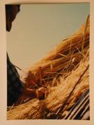 Beruf (Positivo) di Ziegler, Kosmas (1976/05/07 - 1976/05/07)