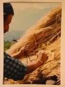 Beruf (Positivo) di Ziegler, Kosmas (1976/05/07 - 1976/05/07)