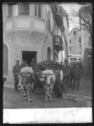 Tier (Positivo) di Ellmenreich, Albert (1918/04/08 - 1918/04/08)