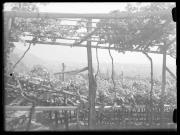 Landschaft (Positivo) di Ellmenreich, Albert (1928/01/01 - 1928/12/31)