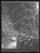 Straße (Positivo) di Ellmenreich, Albert (1929/01/01 - 1929/12/31)