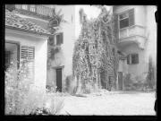 Burg und Schloß (Positivo) di Ellmenreich, Albert (1931/09/01 - 1931/09/01)