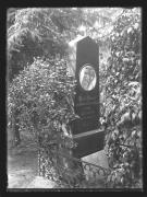 Denkmalansicht (Positivo) di Ellmenreich, Albert (1932/04/01 - 1932/04/43)
