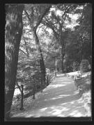 Straße (Positivo) di Ellmenreich, Albert (1932/06/63 - 1932/06/63)