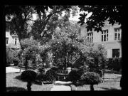 Platz (Positivo) di Ellmenreich, Albert (1935/05/01 - 1935/05/01)