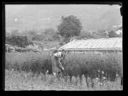 Einzelbildnis (Positivo) di Ellmenreich, Albert (1934/07/24 - 1934/07/24)