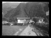 Tier (Positivo) di Ellmenreich, Albert (1917/09/03 - 1917/09/03)