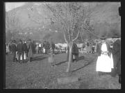 Tier (Positivo) di Ellmenreich, Albert (1917/11/12 - 1917/11/12)