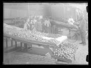 Ereignis (Positivo) di Ellmenreich, Albert (1917/09/24 - 1917/09/24)