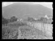 Straße (Positivo) di Ellmenreich, Albert (1917/06/22 - 1917/06/22)