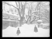 Ereignis (Positivo) di Ellmenreich, Albert (1917/01/15 - 1917/01/15)