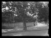 Ereignis (Positivo) di Ellmenreich, Albert (1917/05/25 - 1917/05/25)