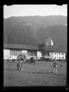 Tier (Positivo) di Ellmenreich, Albert (1917/09/03 - 1917/09/03)