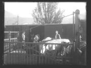 Ereignis (Positivo) di Ellmenreich, Albert (1917/10/21 - 1917/10/21)