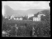 Profanbau (Positivo) di Ellmenreich, Albert (1917/07/01 - 1917/07/31)