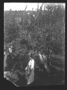 Ereignis (Positivo) di Ellmenreich, Albert (1917/09/25 - 1917/09/25)