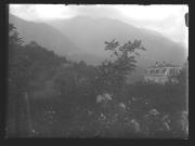 Gastbetrieb (Positivo) di Ellmenreich, Albert (1917/07/27 - 1917/07/27)
