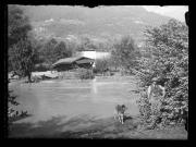 Ereignis (Positivo) di Ellmenreich, Albert (1917/08/02 - 1917/08/02)