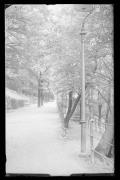 Straße (Positivo) di Ellmenreich, Albert (1926/01/01 - 1926/12/31)