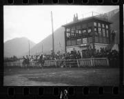 Pferderennen (Positivo) di Schöner, Josef Rudolf (1923/01/01 - 1934/12/31)