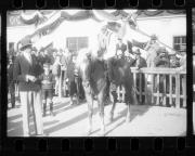 Pferderennen (Positivo) di Schöner, Josef Rudolf (1923/01/01 - 1934/12/31)