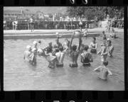 Schwimmen (Positivo) di Schöner, Josef Rudolf (1932/01/01 - 1932/12/31)