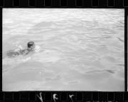 Schwimmen (Positivo) di Schöner, Josef Rudolf (1932/01/01 - 1932/12/31)