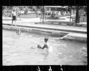 Schwimmen (Positivo) di Schöner, Josef Rudolf (1932/01/01 - 1932/12/31)