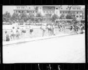 Schwimmen (Positivo) di Schöner, Josef Rudolf (1932/01/01 - 1932/12/31)