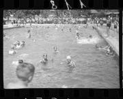 Schwimmen (Positivo) di Schöner, Josef Rudolf (1932/01/01 - 1932/12/31)