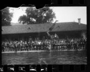 Schwimmen (Positivo) di Schöner, Josef Rudolf (1932/01/01 - 1932/12/31)