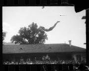 Schwimmen (Positivo) di Schöner, Josef Rudolf (1932/01/01 - 1932/12/31)