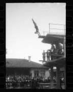 Schwimmen (Positivo) di Schöner, Josef Rudolf (1932/01/01 - 1932/12/31)