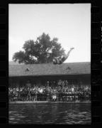 Schwimmen (Positivo) di Schöner, Josef Rudolf (1932/01/01 - 1932/12/31)