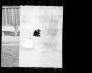 Schwimmen (Positivo) di Schöner, Josef Rudolf (1929/01/01 - 1935/12/31)