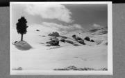 Landschaft (Positivo) di Pokorny, Bruno (1925/01/01 - 1960/12/31)