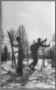 Wintersport (Positivo) di Pokorny, Bruno (1925/01/01 - 1960/12/31)