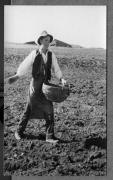 Bäuerliche Arbeit (Positivo) di Pokorny, Bruno (1925/01/01 - 1946/12/31)