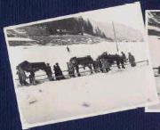 Begräbnis (Positivo) di Ellmenreich, Albert (1914/03/31 - 1914/03/31)