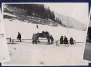 Begräbnis (Positivo) di Ellmenreich, Albert (1914/03/31 - 1914/03/31)