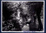 Straße (Positivo) di Ellmenreich, Albert (1917/07/01 - 1917/07/31)