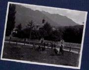 Tier (Positivo) (1917/06/21 - 1917/06/21)