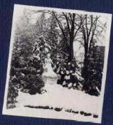 Denkmalansicht (Positivo) di Ellmenreich, Albert (1916/12/15 - 1916/12/15)